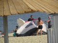 IMG_1923